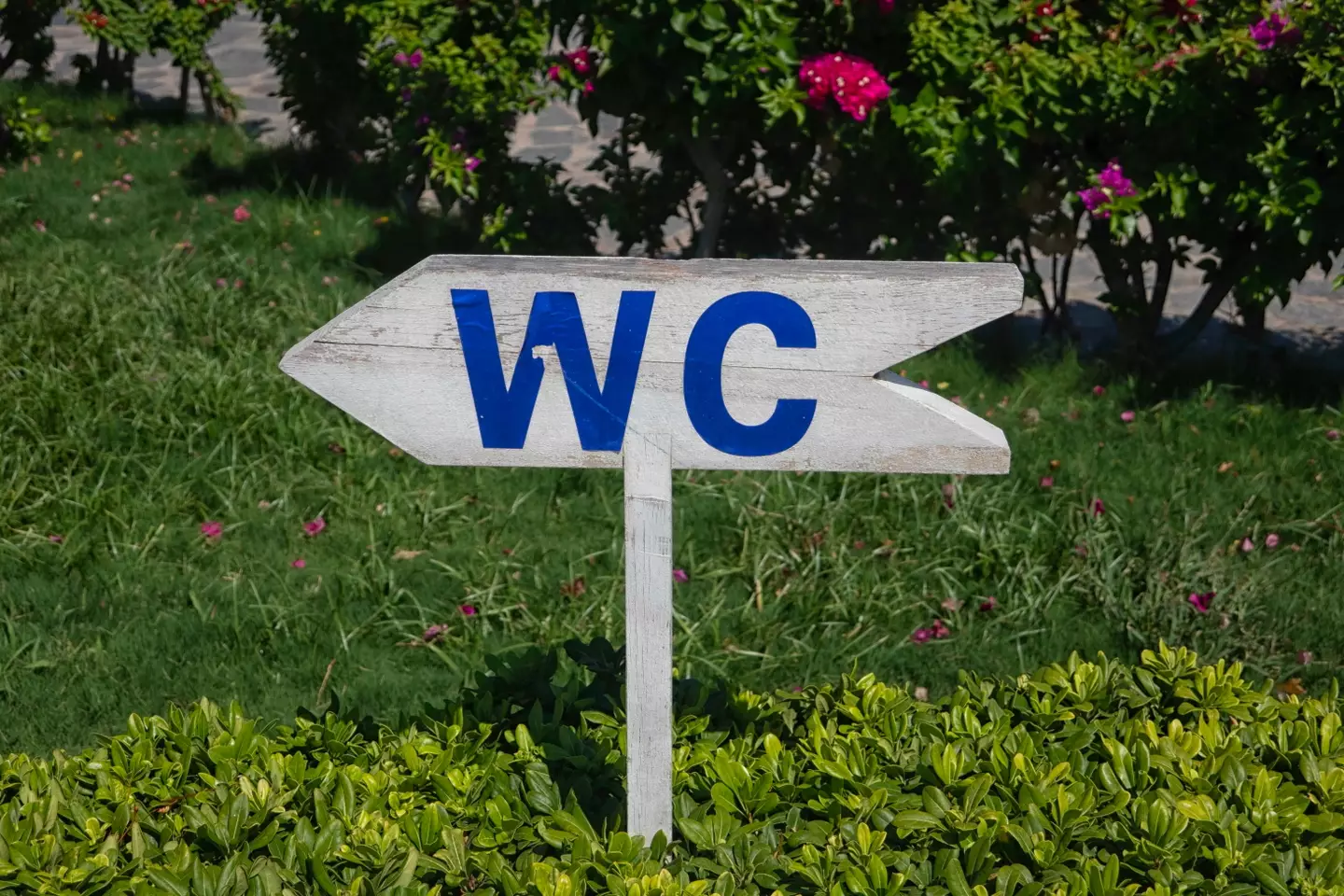 WC Toilet Signs