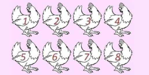 Which chicken in different