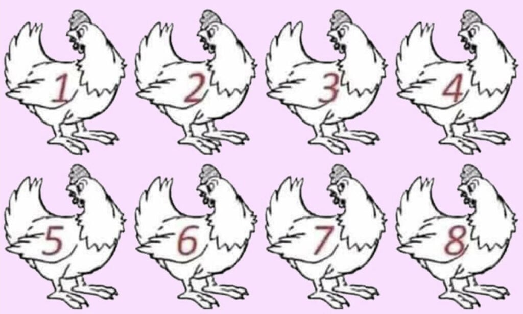 Which chicken in different