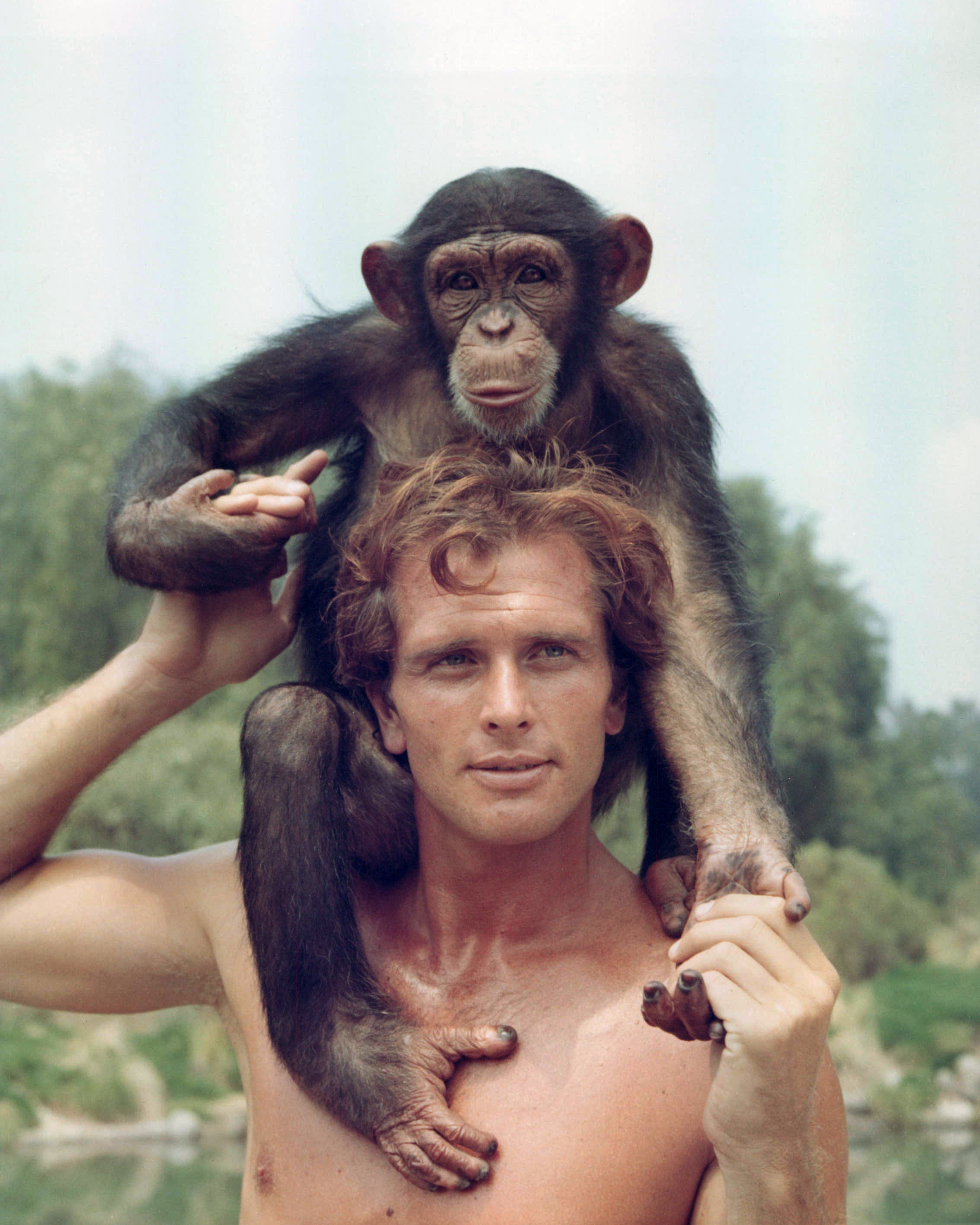 Ron Ely, US actor, posing bare chested with a chimpanzee sitting on his shoulders in a publicity portrait issued for the US television series, 'Tarzan', circa 1966. | Source: Getty Images