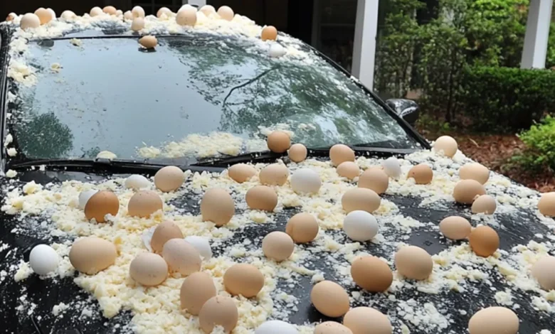 My Neighbor Threw Eggs at My Car Because It Was ‘Blocking the View’ of His Halloween Decorations