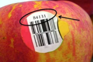 The Different Types of Fruit Labels