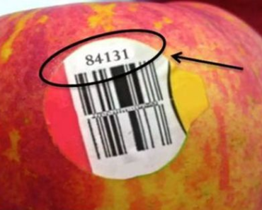 The Different Types of Fruit Labels