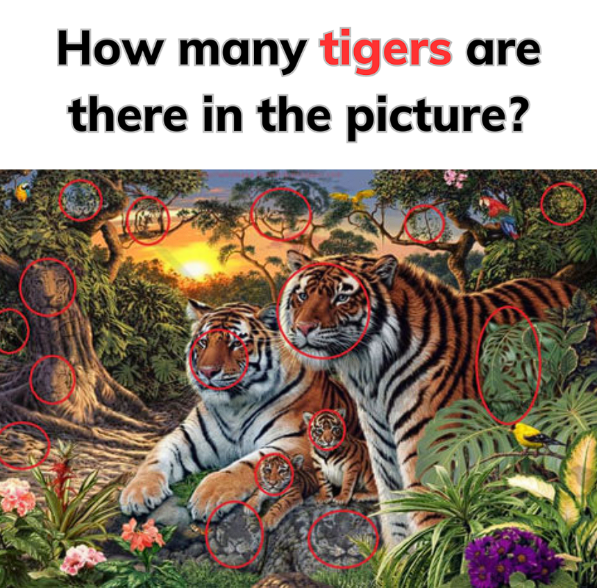 Finding the Tigers