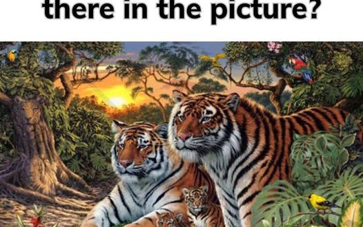 Finding the Tigers