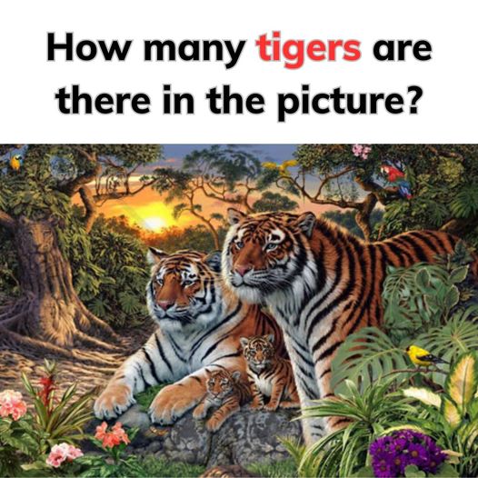 Finding the Tigers