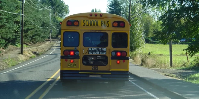 I Saw a Child on the School Bus Hitting the Back Window and Yelling for Help