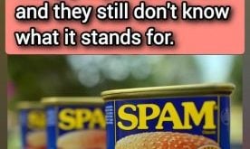 In any case, what is SPAM and what ingredients are there?