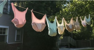 My Neighbor Kept Hanging Out Her Panties