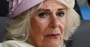 Queen Camilla: Major health update after chest infection