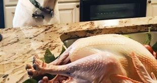 Thanksgiving turkey with a twist: Our dog wouldn’t stop barking at it so I checked it and called the police