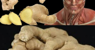 Surprising Health Benefits of Eating Ginger Every Day