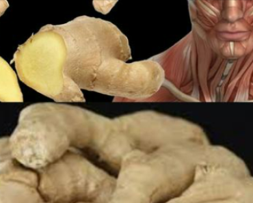 Surprising Health Benefits of Eating Ginger Every Day