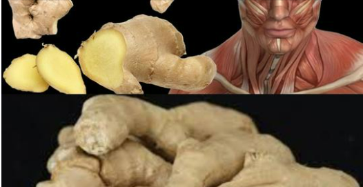 Surprising Health Benefits of Eating Ginger Every Day