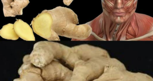 What Happens To Your Body When You Eat Ginger