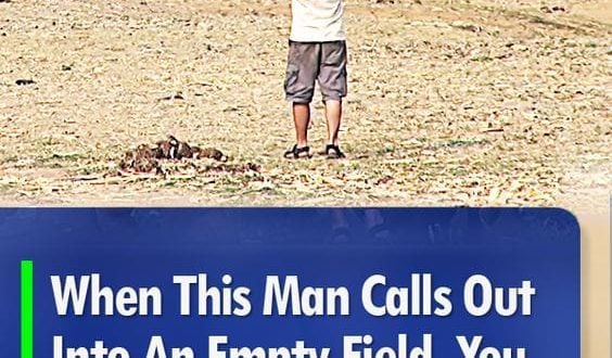 When This Man Calls Out Into An Empty Field, You Will Be Amazed At What Comes Sauntering To Him (VIDEO)