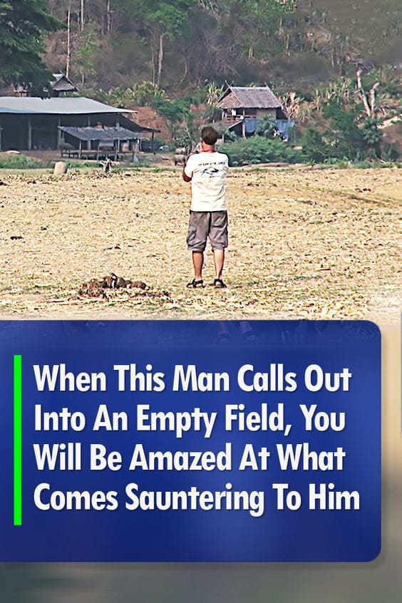 When This Man Calls Out Into An Empty Field, You Will Be Amazed At What Comes Sauntering To Him (VIDEO)