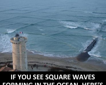 If you see square waves forming in the ocean, get out of the water immediately