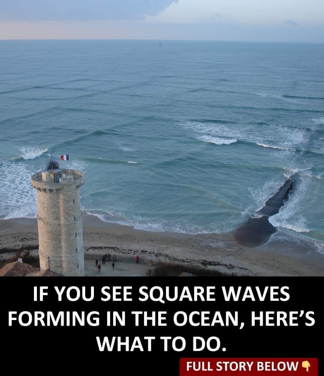 If you see square waves forming in the ocean, get out of the water immediately