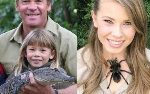 Bindi Irwin is on the path to recovery