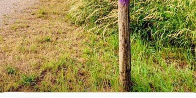 If you see a painted purple fence, this is what it means