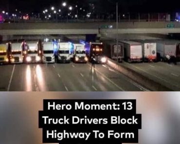 No one knows why 13 trucks are blocking the highway, when the truth is revealed, tears flow