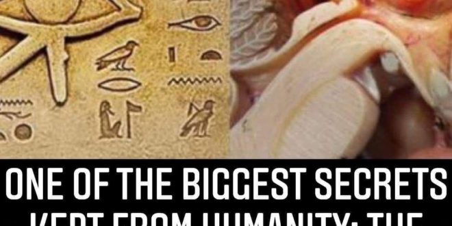 One of the biggest secrets kept from humanity: The pineal gland