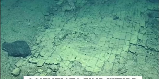 Scientists find strange “Yellow Brick Road” at the bottom of the Pacific Ocean