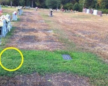 Stranger keeps secretly visiting soldier’s grave, when mom finds out ‘why’ she tracks him down