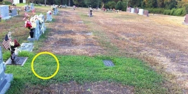 Stranger keeps secretly visiting soldier’s grave, when mom finds out ‘why’ she tracks him down