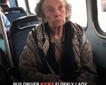 The Bus Driver Throws an Old Lady into the Cold and Finds Her Picture While Meeting His Fiancée