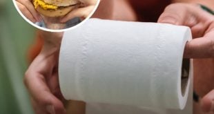 What It Means If You Always Need to Poop Straight After Eating