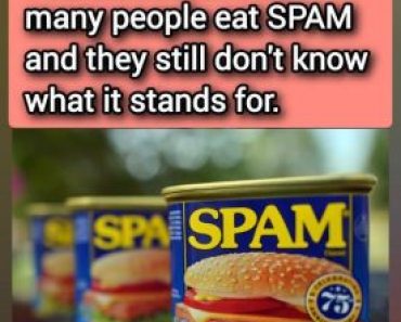 What is SPAM And What Is It Made of, Anyway?