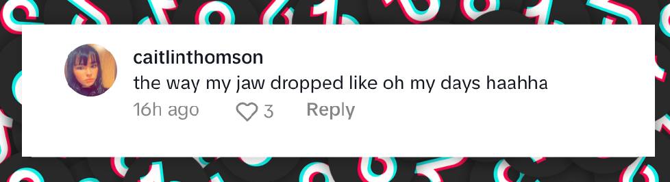 A fan comment on Josie Totah, dated January 14, 2025 | Source: TikTok/josietotah