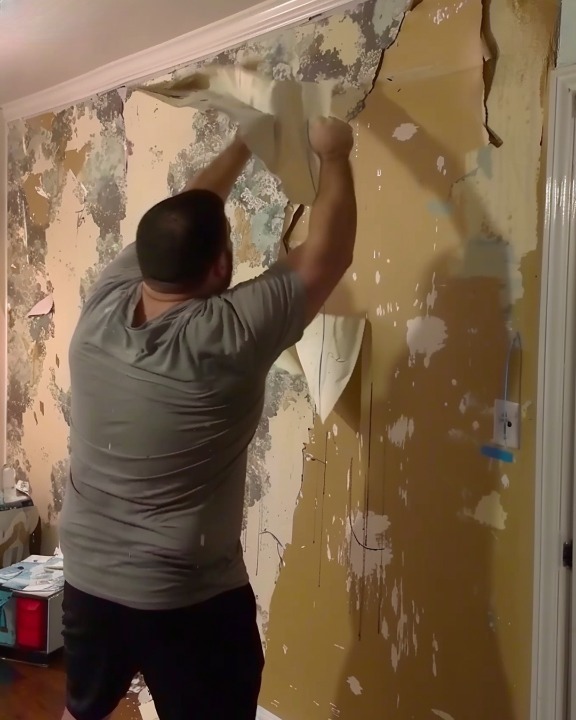 My Ex-Husband Removed the Wallpaper After Our Divorce, Claiming “I Paid for It” – In the End, Karma Won