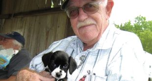 Abandoned Puppy Becomes the Angel a Grieving Old Man Prayed For