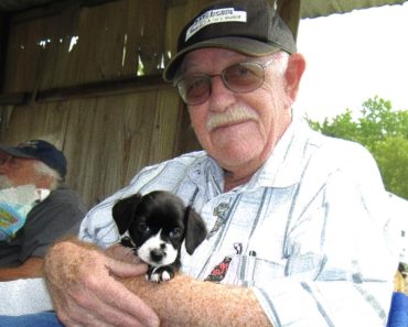 Abandoned Puppy Becomes the Angel a Grieving Old Man Prayed For