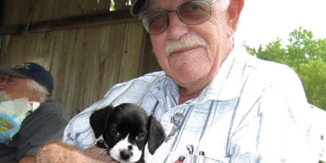 Abandoned Puppy Becomes the Angel a Grieving Old Man Prayed For