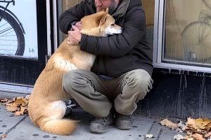 Every Day, A Dog Visits A Closed Store, And A Poor Boy Follows The Dog And Finds Out The Truth—Today’s Story