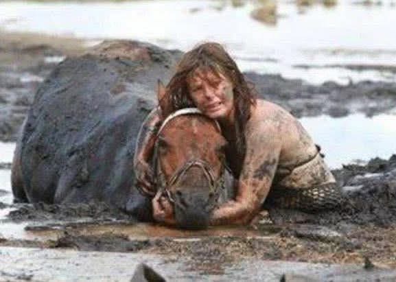 Horse weighting 900 lb gets stuck in mud – Owner clings to him for three hours