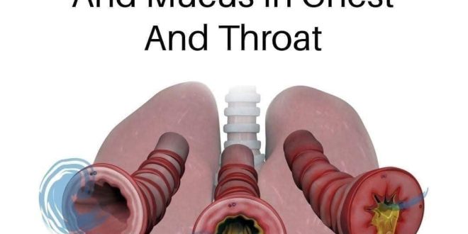 How to Naturally Clear Phlegm and Mucus from Chest and Throat