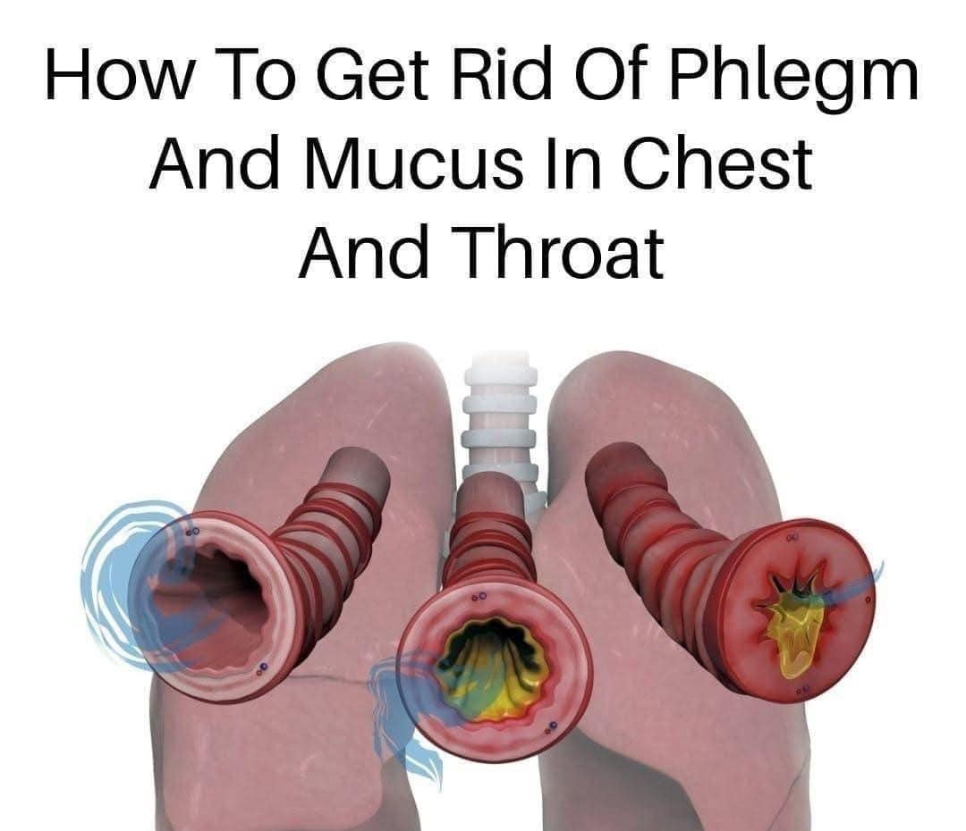 How to Naturally Clear Phlegm and Mucus from Chest and Throat