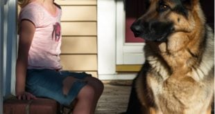 My Fiancé's Daughter Claims My Dog 'Terrified' Her – Should I Rehome My Fur Baby?