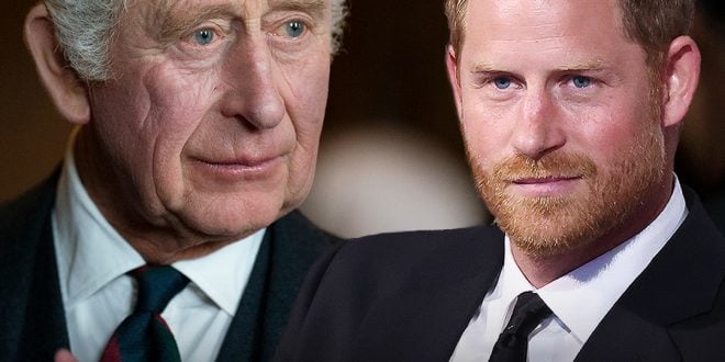 Prince Harry’s Bold Statement That Infuriated King Charles & Brother William Deleted from Royal Family's Website