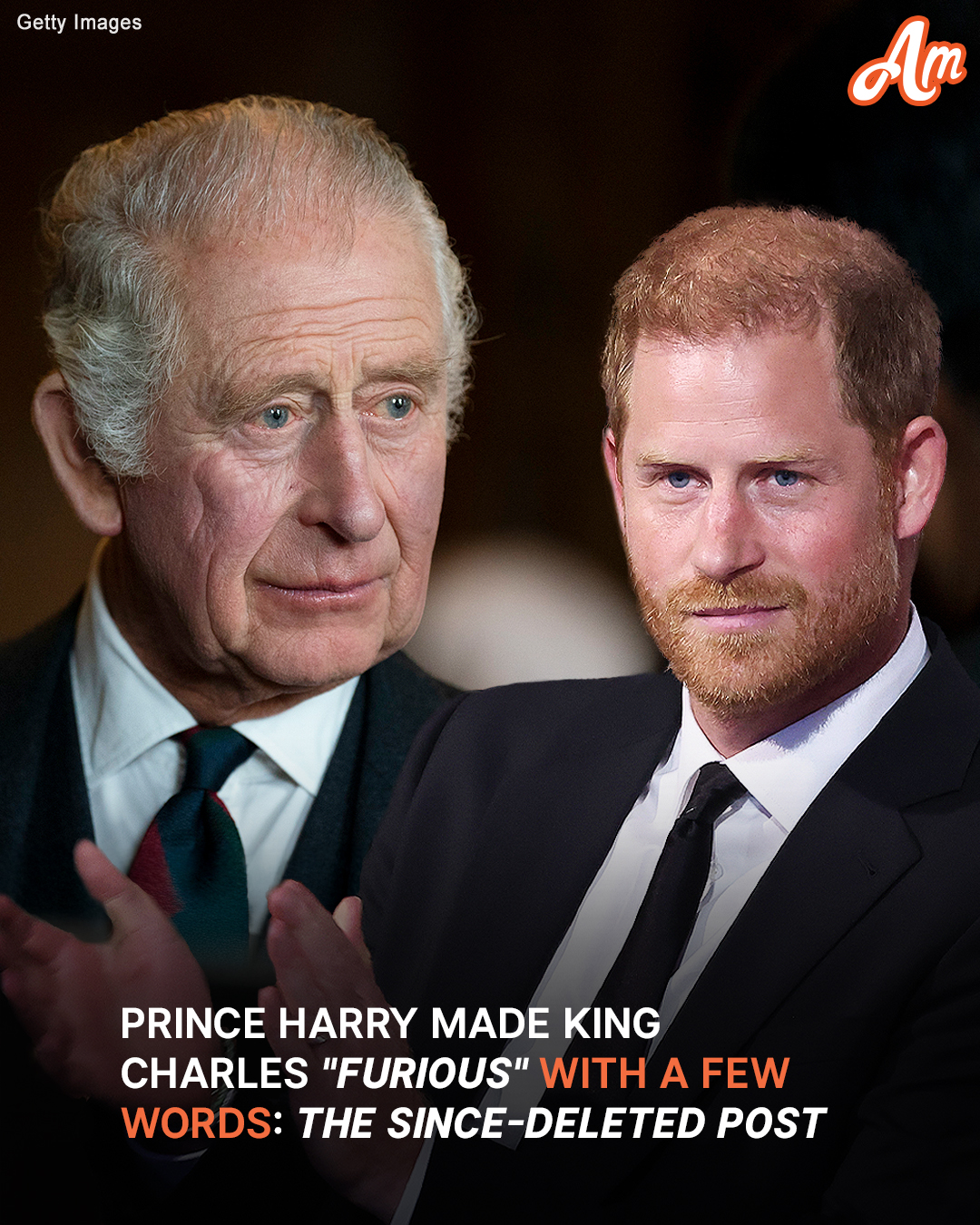 Prince Harry’s Bold Statement That Infuriated King Charles & Brother William Deleted from Royal Family’s Website