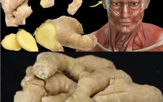 Surprising Health Benefits of Eating Ginger Every Day