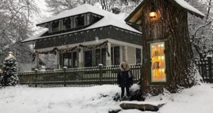 Woman Transforms Rotting Tree In Her Yard Into Charming Neighborhood Library