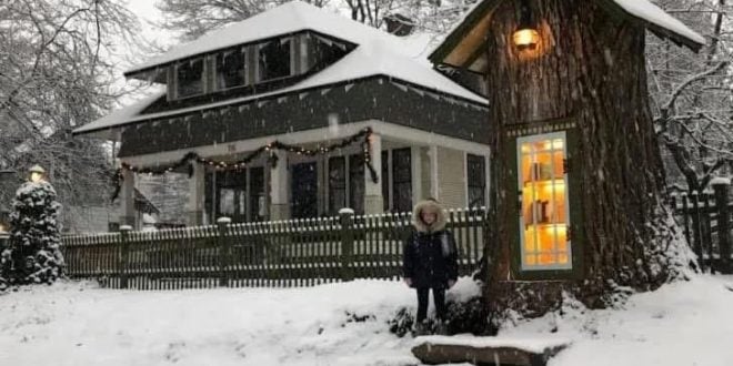 Woman Transforms Rotting Tree In Her Yard Into Charming Neighborhood Library