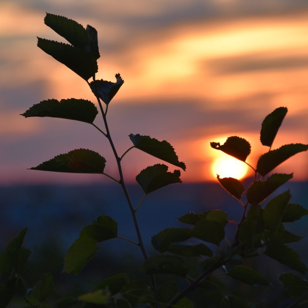 Perfectly timed sunset photo