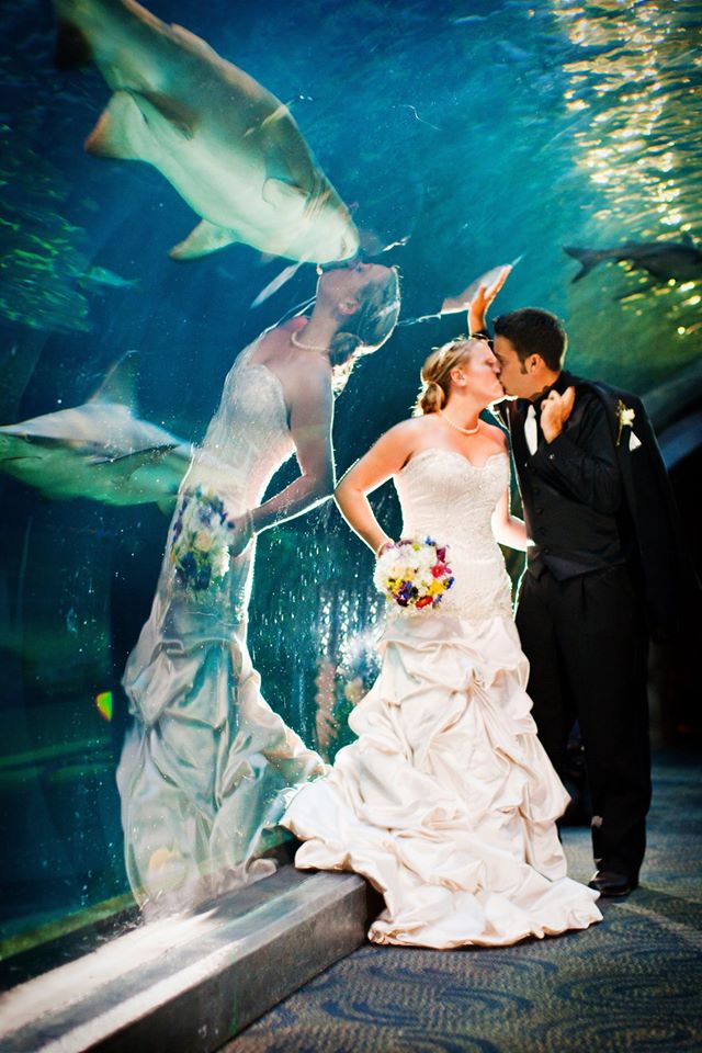 Funny perfectly timed wedding photo in an aquarium